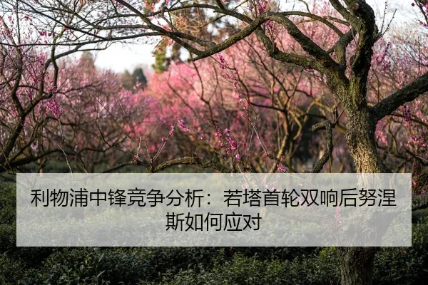 li-wu-pu-zhong-feng-jing-zheng-fen-xi-ruo-ta-shou-lun-shuang-xiang-hou-nu-nie-si-ru-he-ying-dui-3-891.jpg